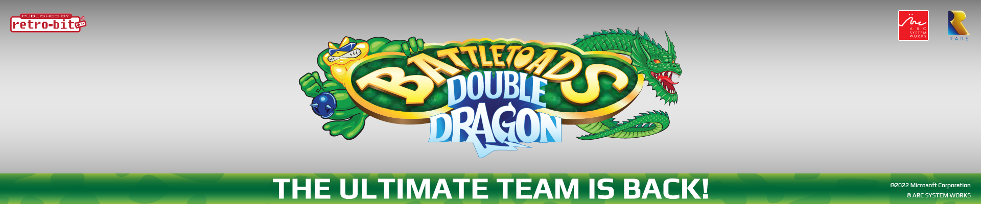 Battletoads & Double Dragon: The Ultimate Team for NES