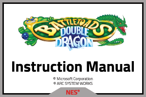 Battletoads & Double Dragon (NES) - Rare Ltd. | ARC SYSTEM WORKS
