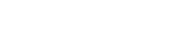 innex-absolute-white-logo