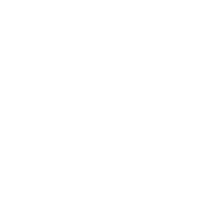logo_GOE_white