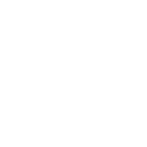 logo_zedlabz_white