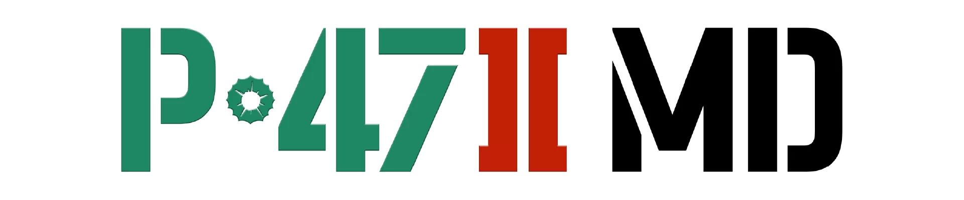 P-47 II MD Web_header P-47 II MD Web_header