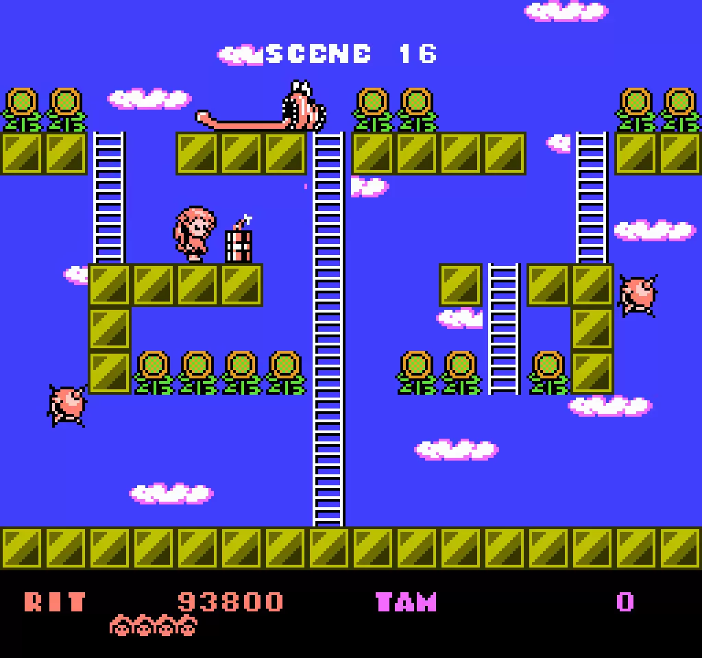 Rod Land NES_03 Rod Land NES_03
