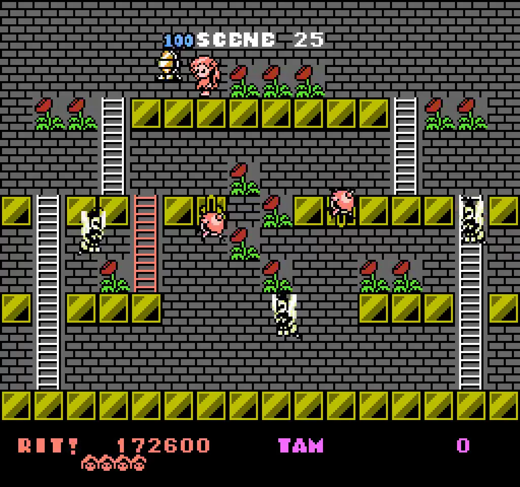 Rod Land NES_05 Rod Land NES_05