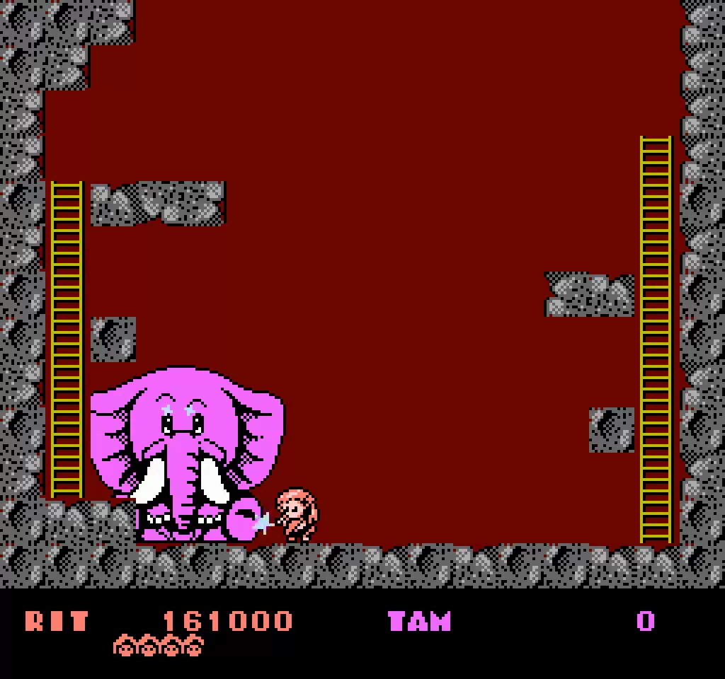 Rod Land NES_08 Rod Land NES_08
