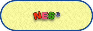 Rod Land Web_NES