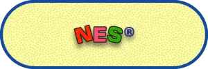 Rod Land Web_NES Rod Land Web_NES